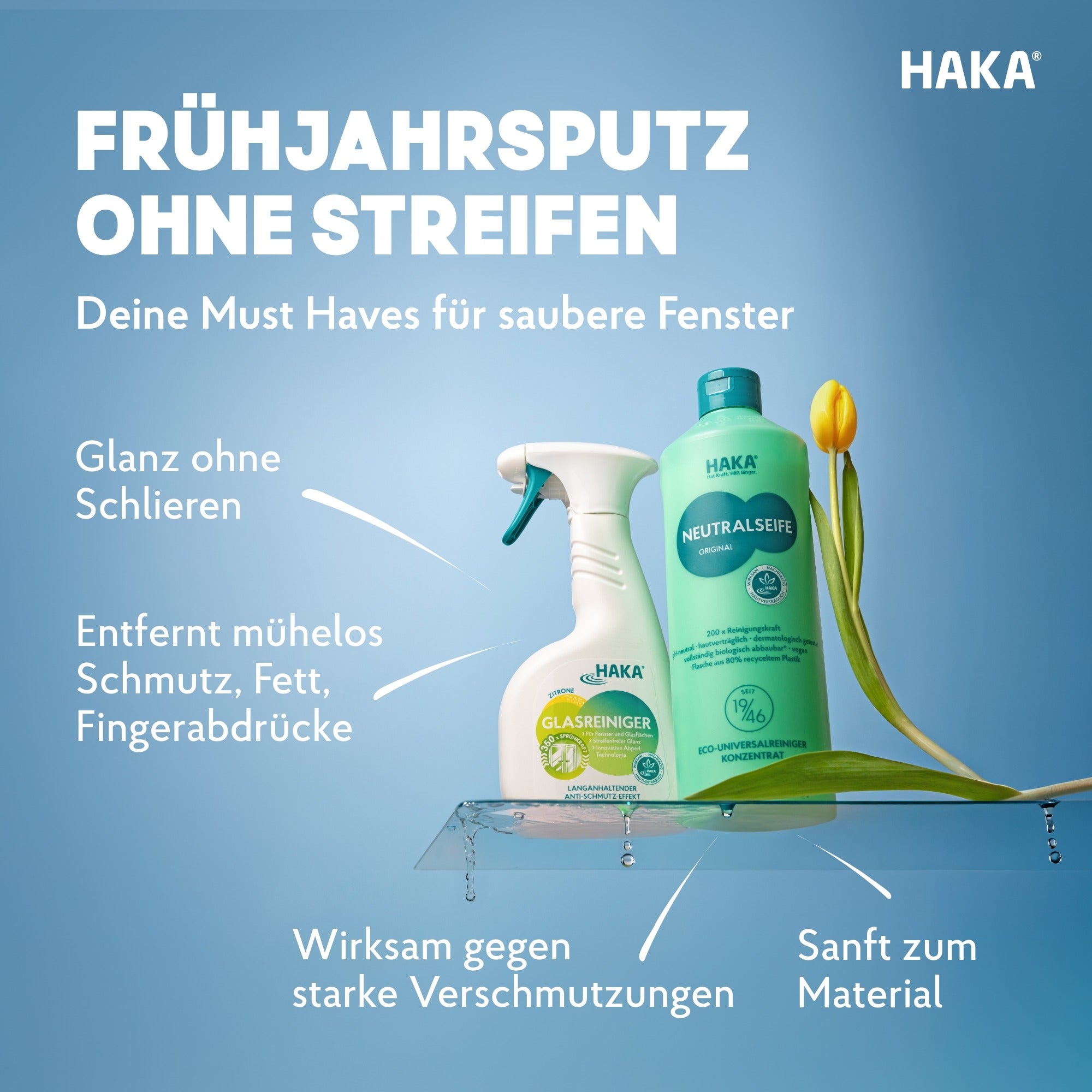haka-set-glasklar-glasreiniger-500-ml-neutralseife-1-kg image 2