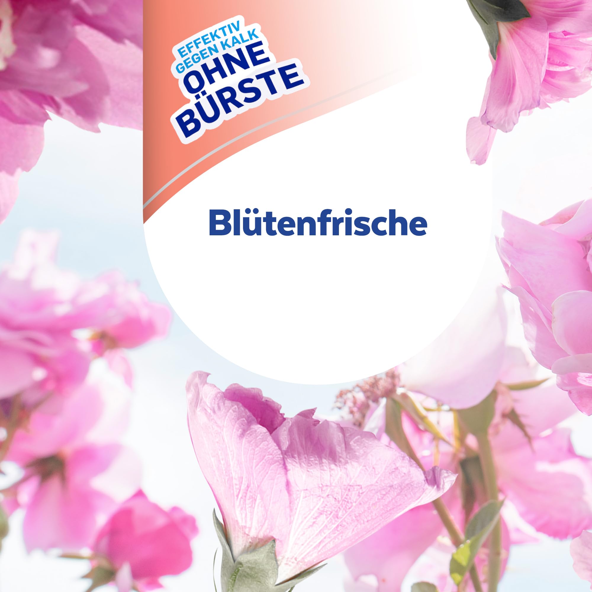 sagrotan-wc-reiniger-bl-tenfrische-750ml-2in1 image 8