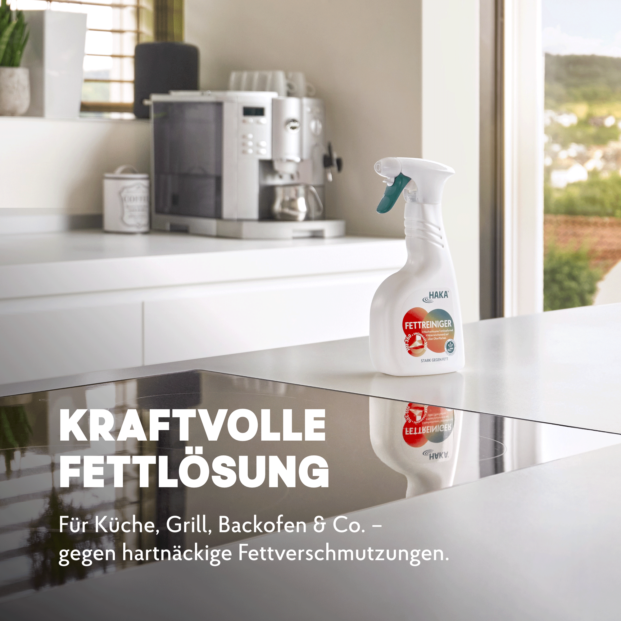 haka-grillreiniger-set-scheuermilch-250ml-fettspray-500ml image 4