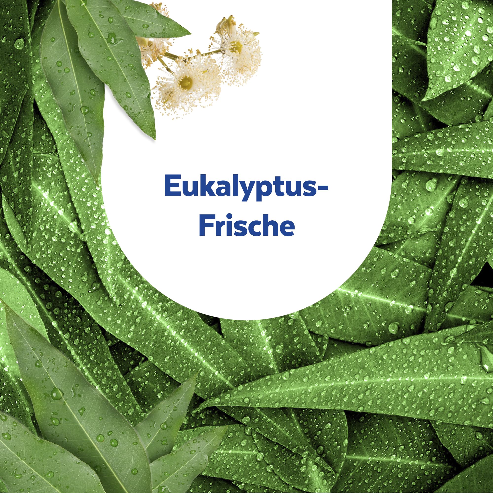 sagrotan-toilettenfrische-hygiene-plus-wc-sp-ler-eukalyptusfrische-6er-pack image 6