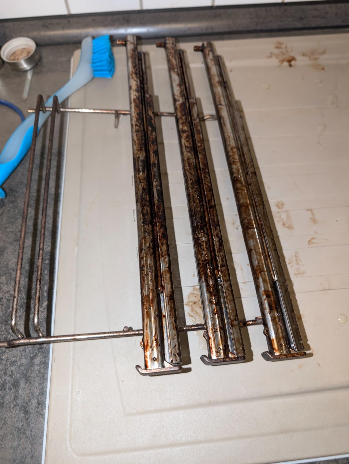 Endlich sauberer Grillrost
