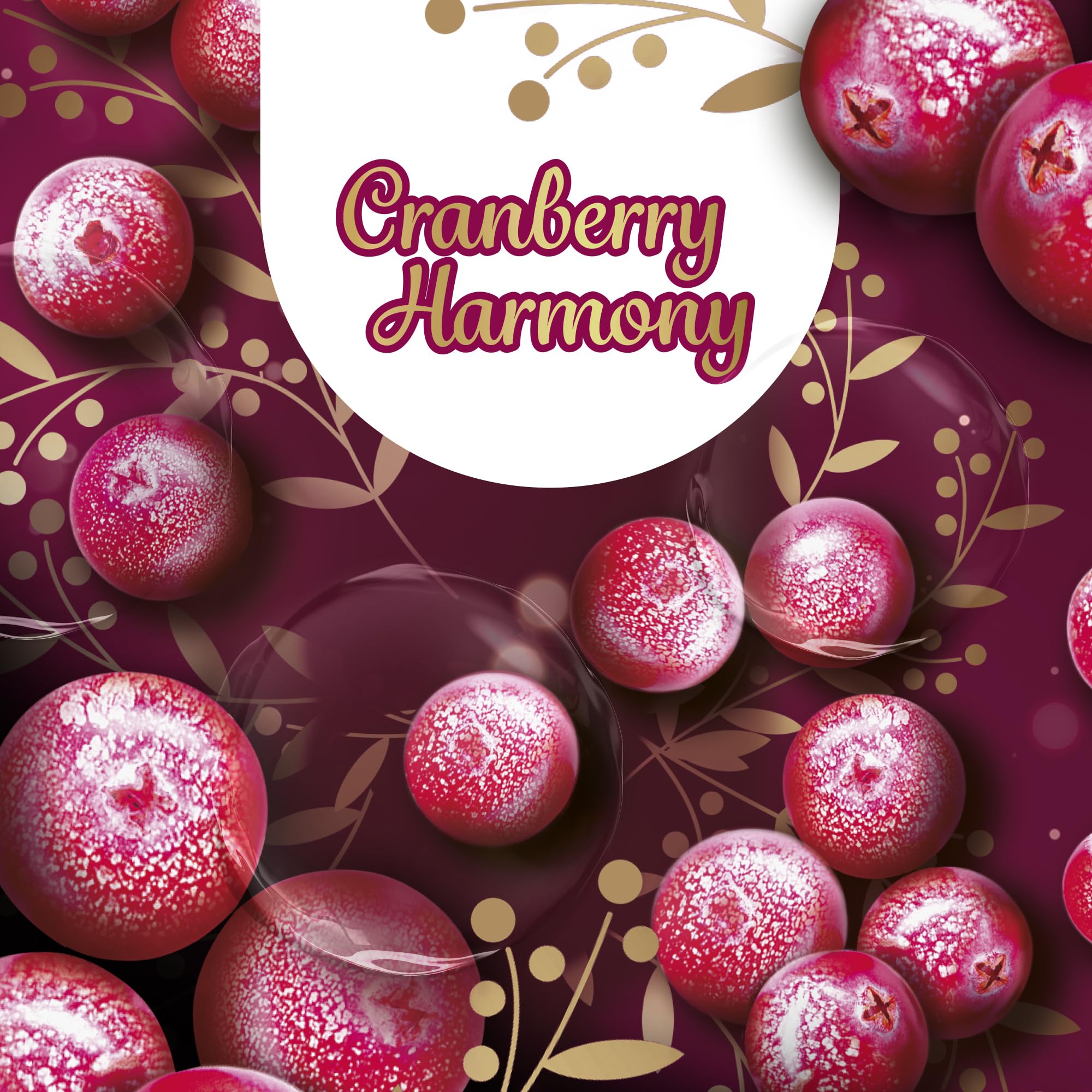 sagrotan-handseife-cranberry-limited-edition-6x250ml-seifenspender image 4