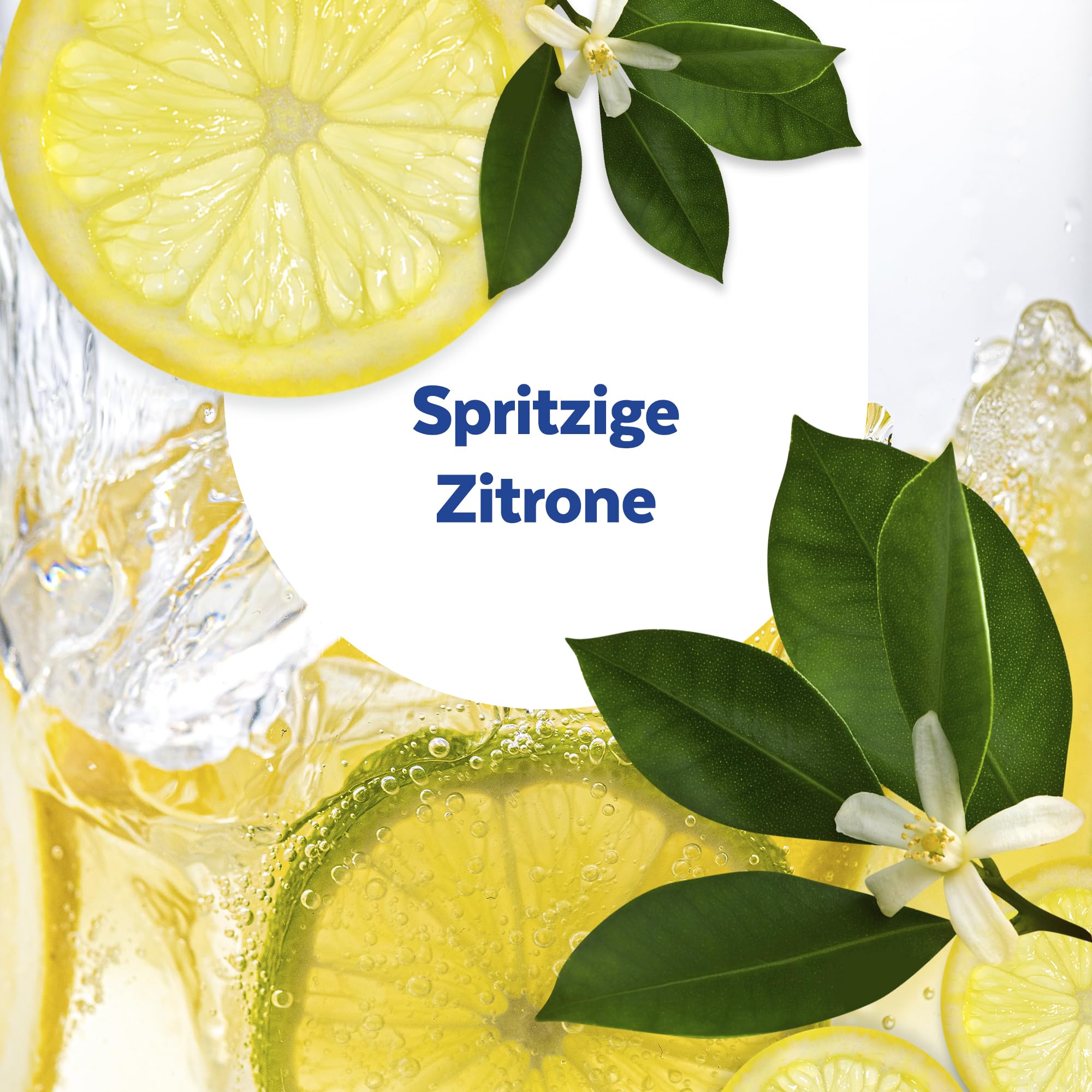 sagrotan-toilettenfrische-hygiene-plus-wc-sp-ler-spritzige-zitrone-6er-pack image 6