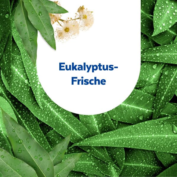 sagrotan-wc-sp-ler-hygiene-plus-eukalyptusfrische-3er-pack image 8