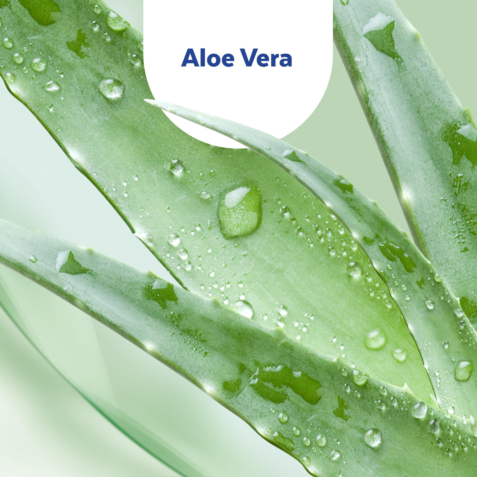sagrotan-hand-desinfektionsgel-aloe-vera-50-ml-reisegr-e image 6