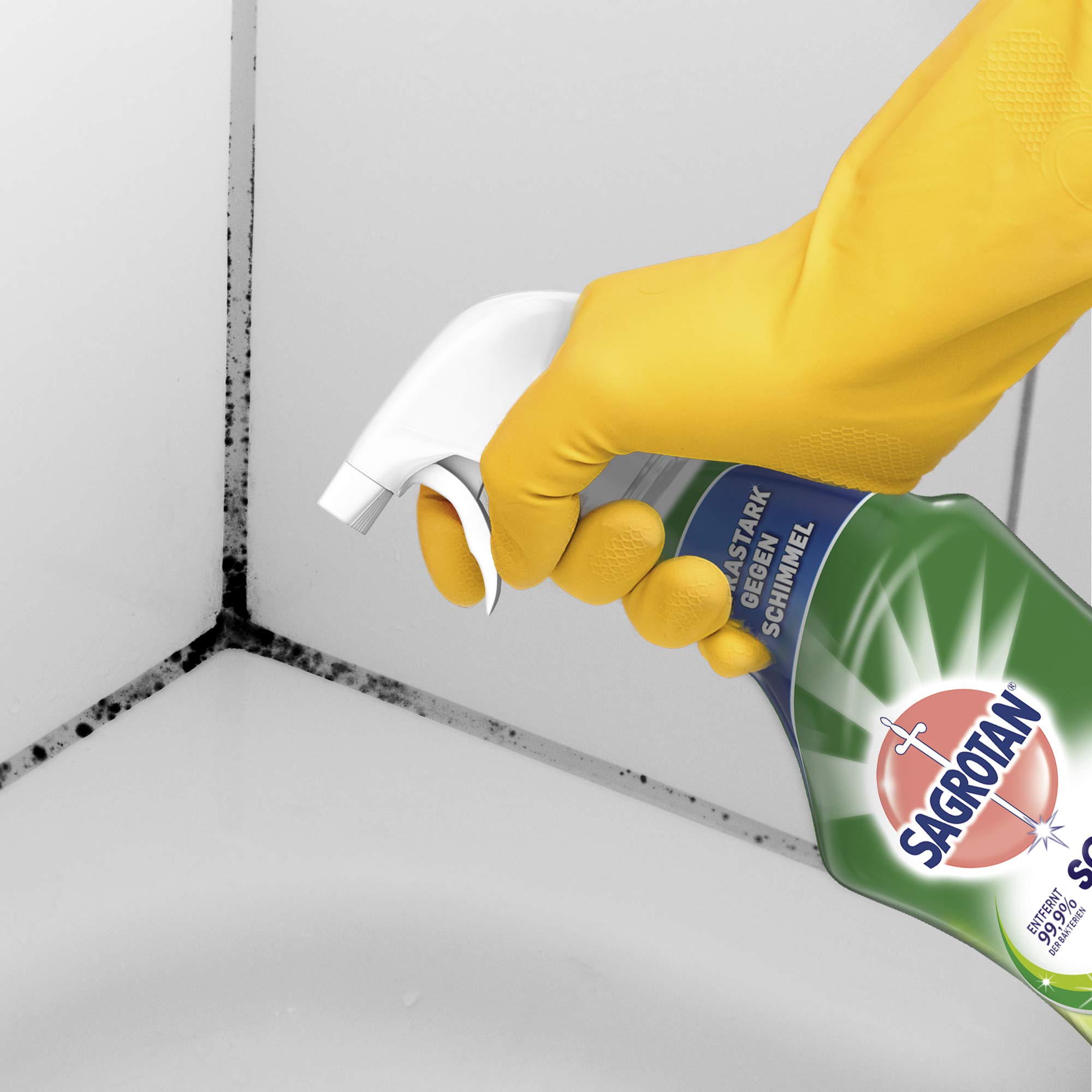 sagrotan-schimmel-frei-schimmelentferner-spray-750-ml-2 image 4