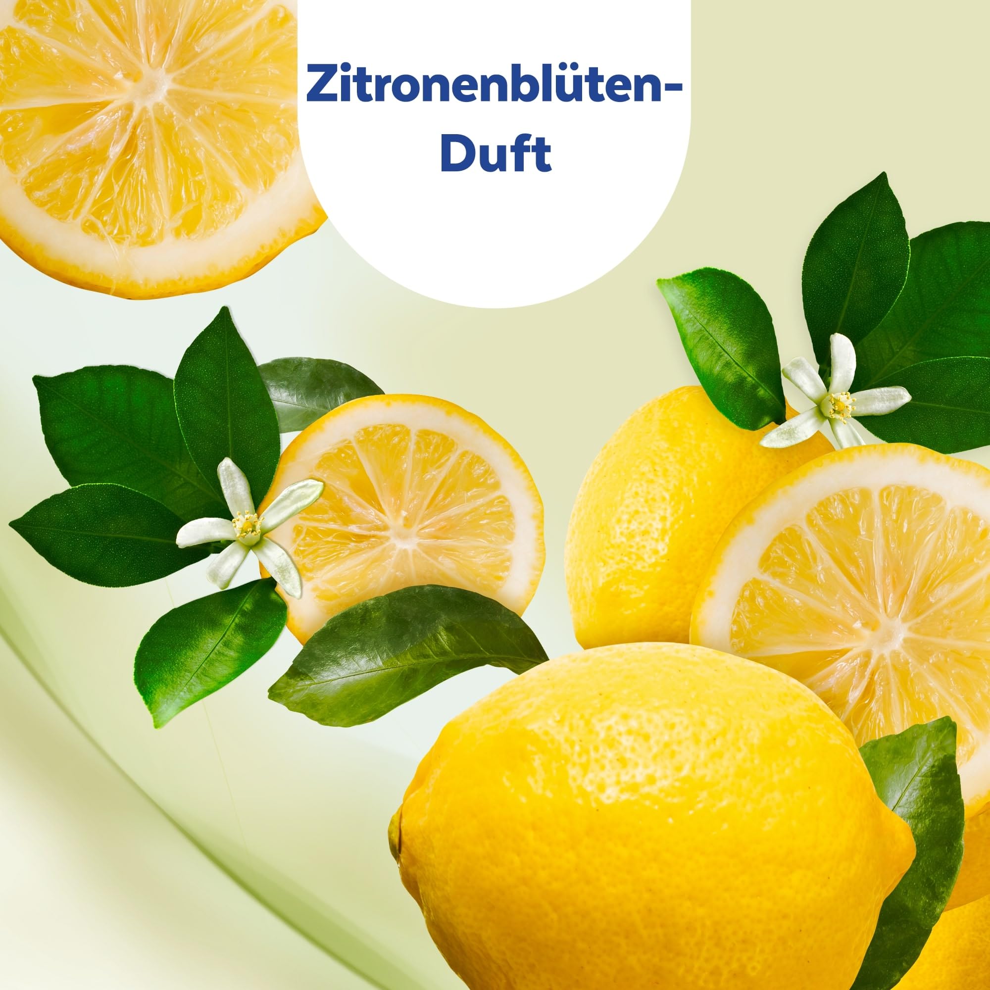 sagrotan-2in1-desinfektionst-cher-zitronenbl-te-15-t-cher image 6