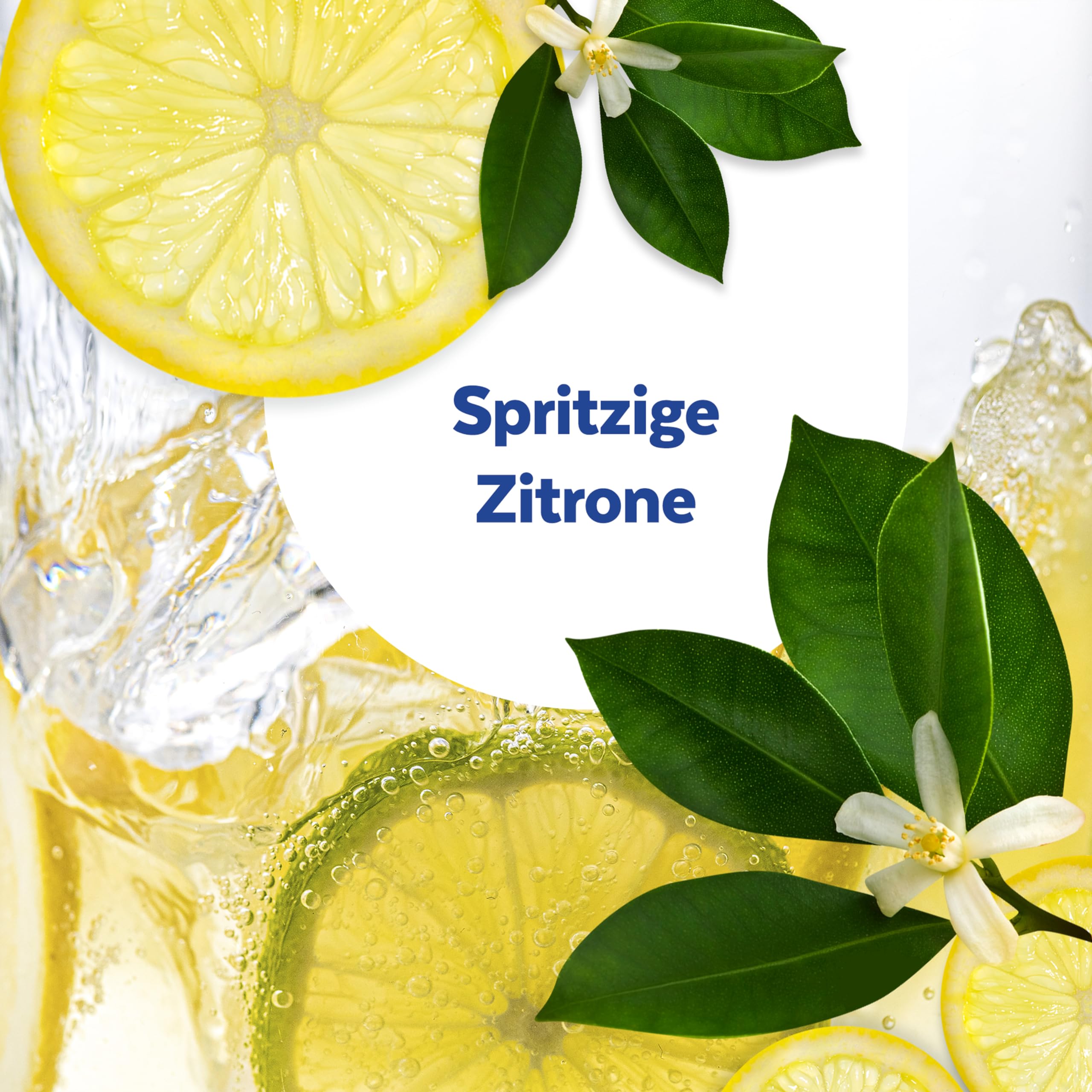 sagrotan-k-chen-allzweck-reiniger-spritzige-zitrone-desinfektion-4-x-750-ml image 7