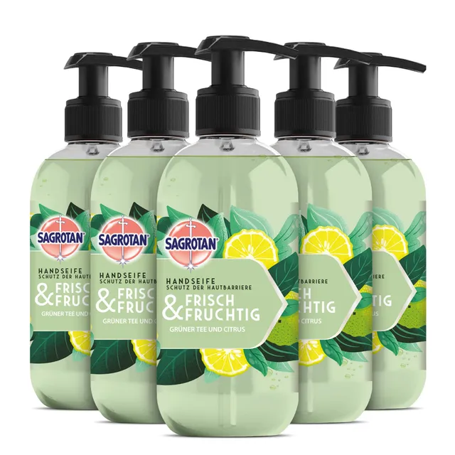 sagrotan-handseife-frisch-und-fruchtig-fl-ssigseife-5-x-300-ml image 1