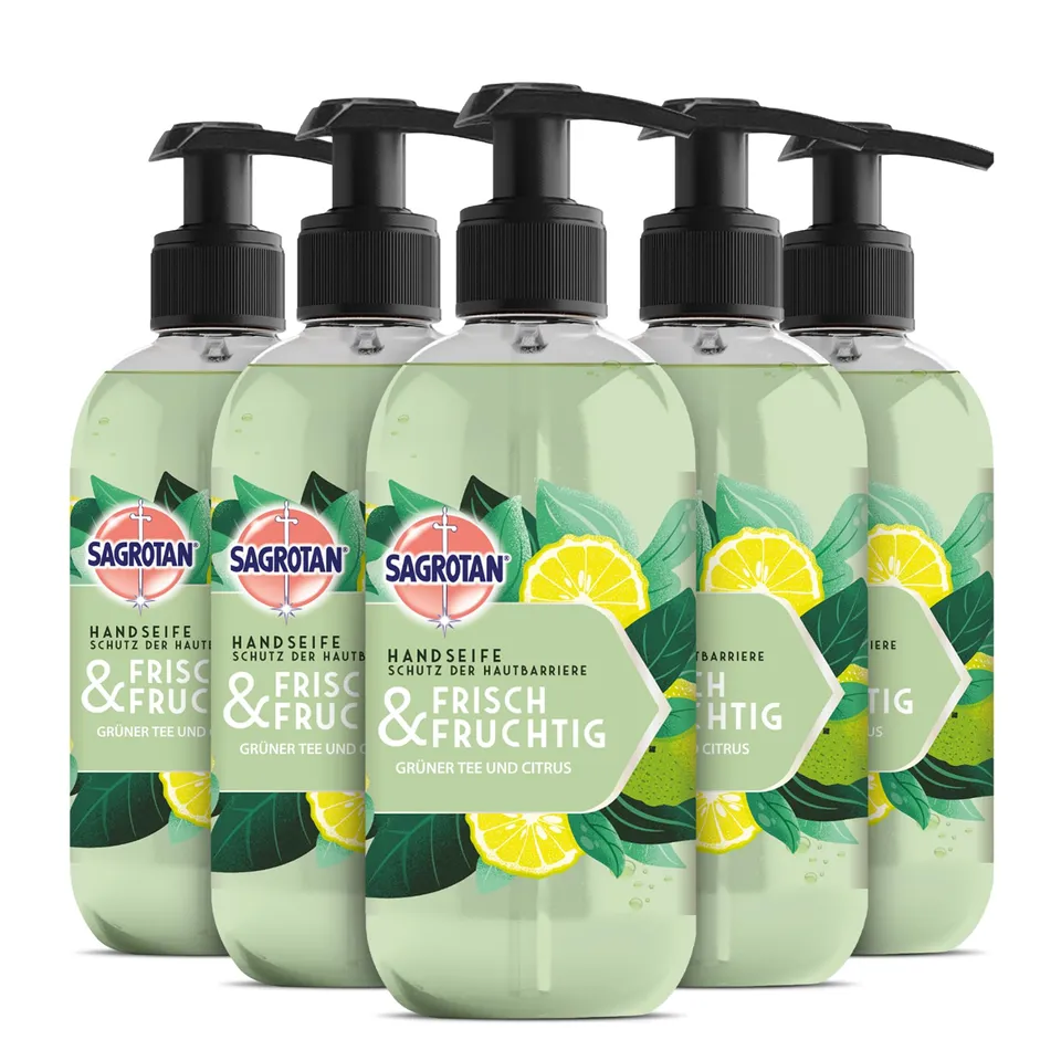 sagrotan-handseife-frisch-und-fruchtig-fl-ssigseife-5-x-300-ml image 1