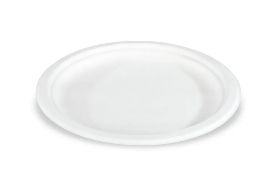 sobsy-pappteller-rund-aus-zuckerrohr-23-cm-wei-500-st-ck image 1